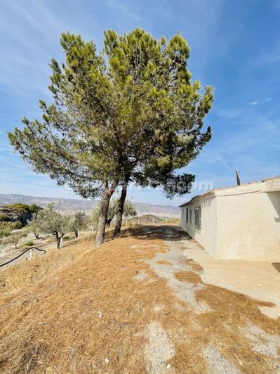 Image No.18-Maison de campagne de 3 chambres à vendre à Almeria