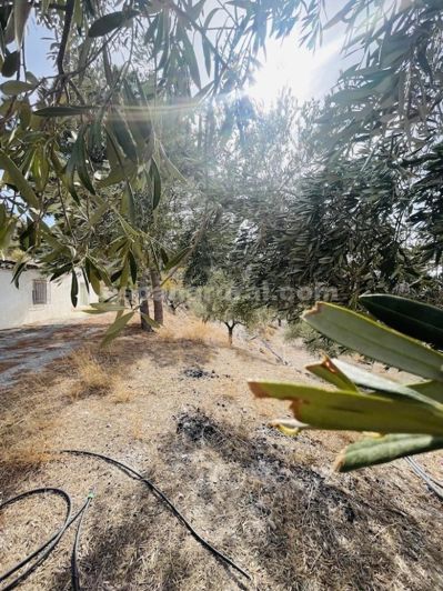 Image No.19-Maison de campagne de 3 chambres à vendre à Almeria