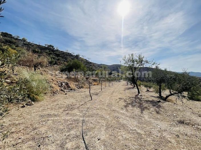Image No.22-Maison de campagne de 3 chambres à vendre à Almeria