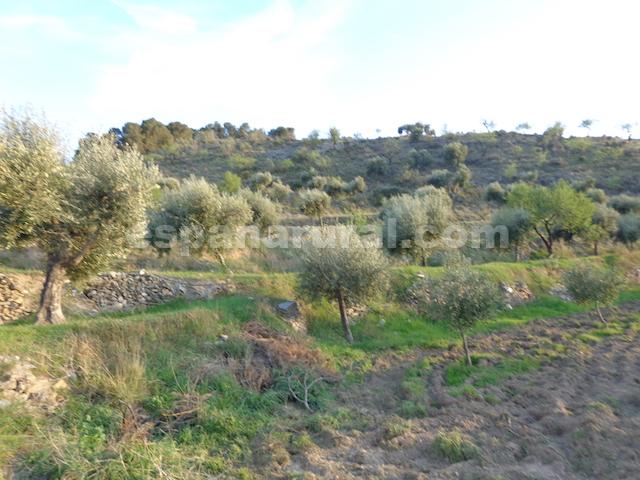 Image No.23-Maison de campagne de 3 chambres à vendre à Almeria