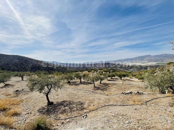 Image No.24-Maison de campagne de 3 chambres à vendre à Almeria