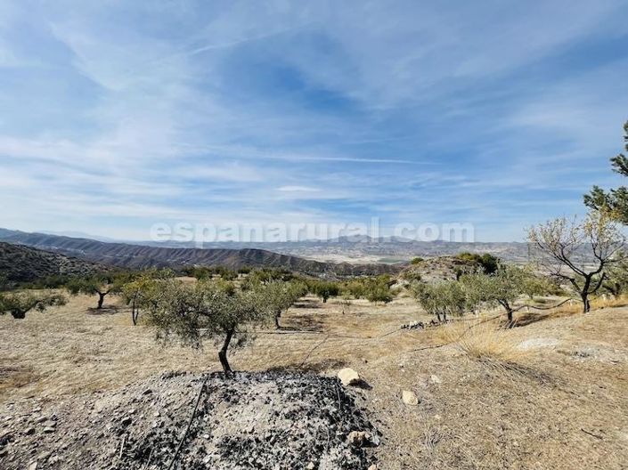 Image No.25-Maison de campagne de 3 chambres à vendre à Almeria