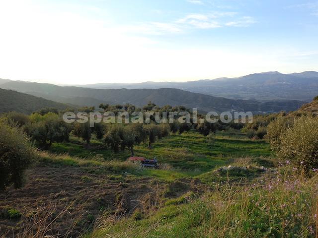 Image No.27-Maison de campagne de 3 chambres à vendre à Almeria