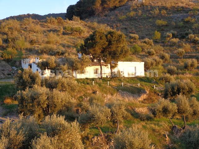 Image No.28-Maison de campagne de 3 chambres à vendre à Almeria