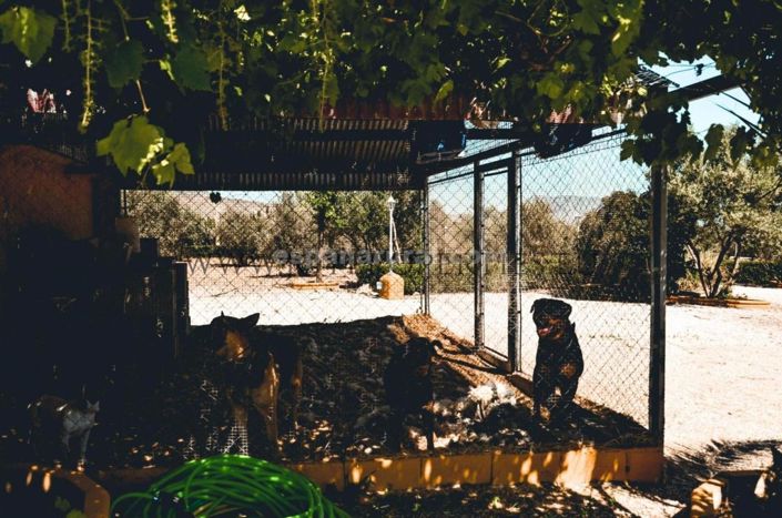 Image No.16-5 Bed Villa for sale