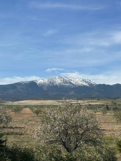 Image No.30-5 Bed Villa for sale