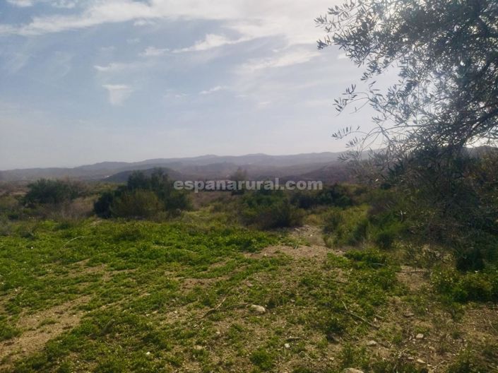 Image No.27-Maison de campagne de 9 chambres à vendre à Sierro