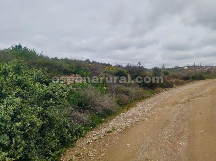 Image No.13-Maison de campagne de 3 chambres à vendre à Albox