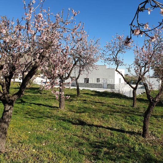 Image No.29-3 Bed Villa for sale