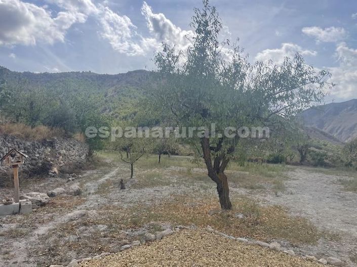 Image No.16-Maison de campagne de 3 chambres à vendre à Oria