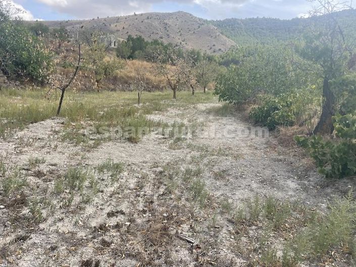 Image No.17-Maison de campagne de 3 chambres à vendre à Oria