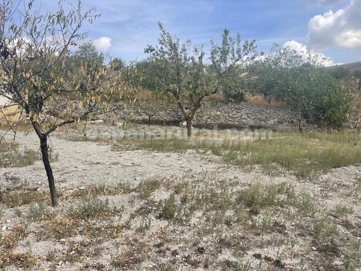 Image No.18-Maison de campagne de 3 chambres à vendre à Oria