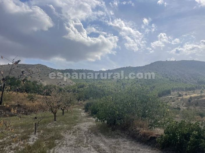 Image No.19-Maison de campagne de 3 chambres à vendre à Oria