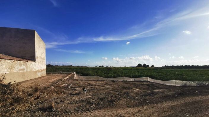 Image No.16-Plot for sale