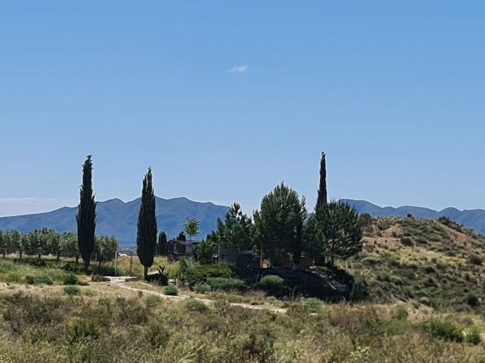 Image No.4-Villa de 3 chambres à vendre à Murcie