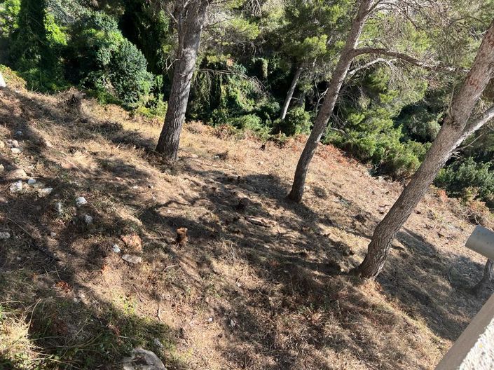 Image No.4-Terre à vendre à Javea