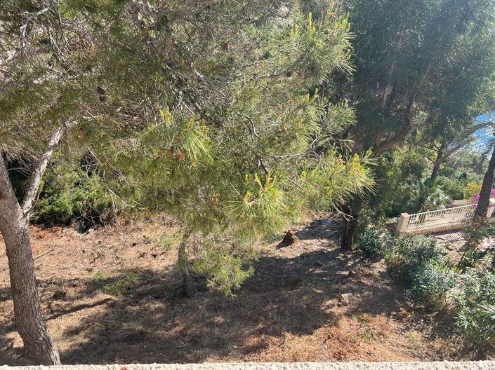 Image No.5-Terre à vendre à Javea