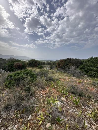 Image No.10-Terrain à vendre à Sissi