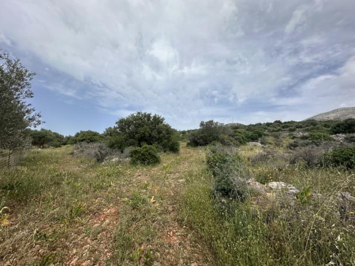 Image No.13-Terrain à vendre à Sissi