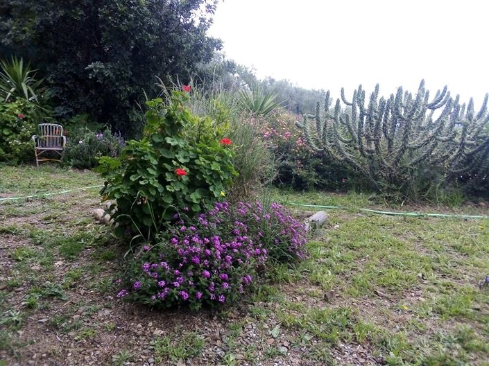 Image No.10-Maison de campagne de 4 chambres à vendre à Rincón de la Victoria