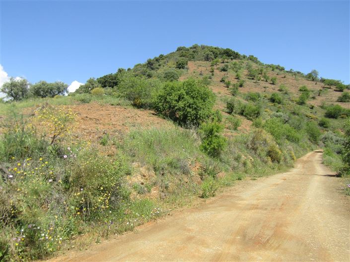 Image No.28-5 Bed Cortijo for sale