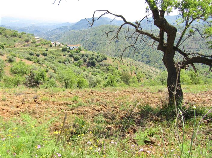 Image No.29-5 Bed Cortijo for sale