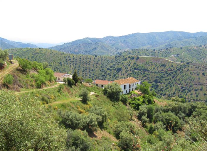 Image No.30-5 Bed Cortijo for sale