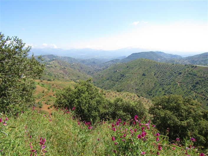 Image No.31-5 Bed Cortijo for sale