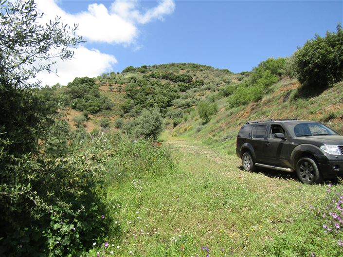 Image No.34-5 Bed Cortijo for sale