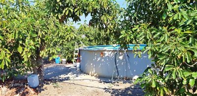 tesqj40nqi7whatsapp20image202021-09-2820at201