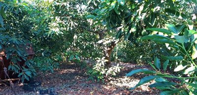 lpsrg065vklwhatsapp20image202021-09-2820at201