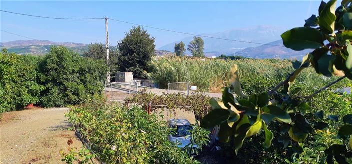 Image No.4-Ferme de 3 chambres à vendre à Benamocarra