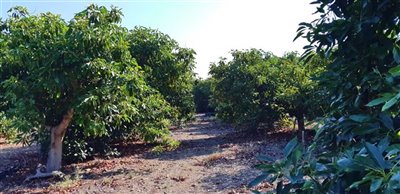 uoalw2j3i2whatsapp20image202021-09-2820at2015