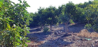 20nk80xq3x4whatsapp20image202021-09-2820at201