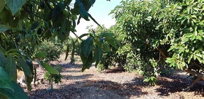 ayf6uvn7sypwhatsapp20image202021-09-2820at201