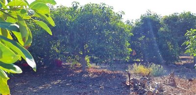 cti9nroskjdwhatsapp20image202021-09-2820at201