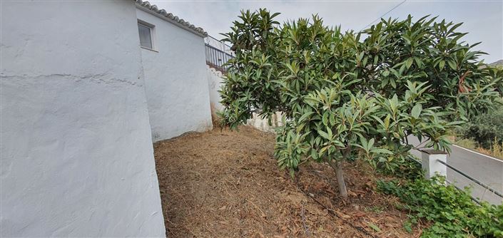 Image No.7-Maison de campagne de 4 chambres à vendre à Comares
