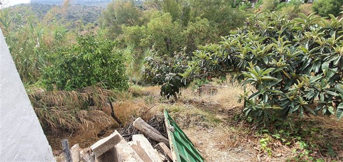 Image No.9-Maison de campagne de 4 chambres à vendre à Comares