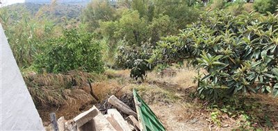 khnhl5hn80pwhatsapp20image202021-10-2620at201