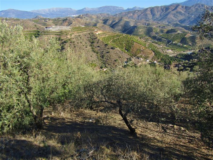 Image No.9-Maison de campagne de 2 chambres à vendre à Cutar