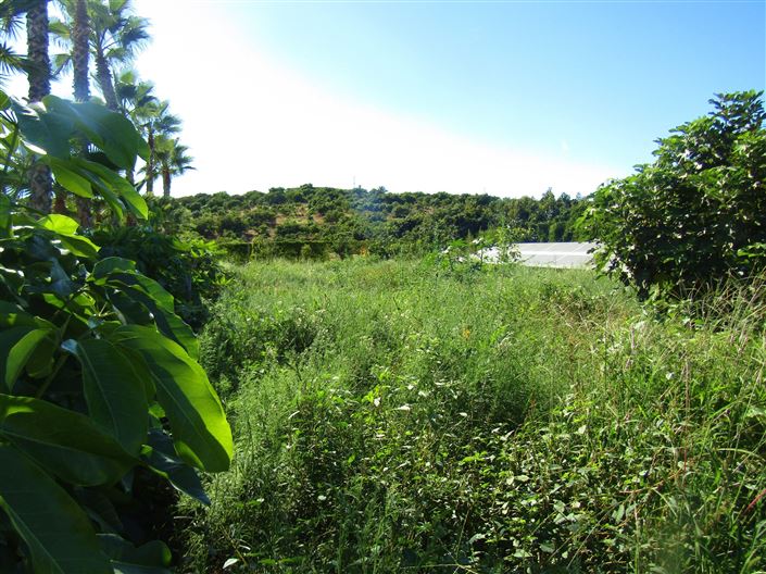 Image No.9-Cortijo de 14 chambres à vendre à Caleta de Vélez