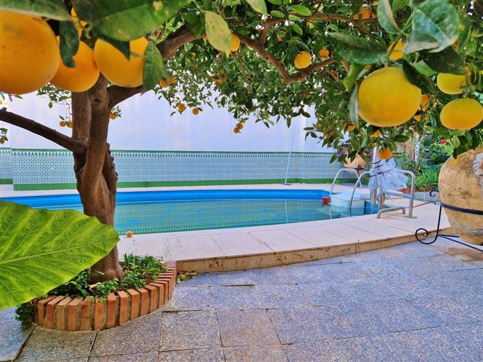 Image No.40-12 Bed Townhouse for sale