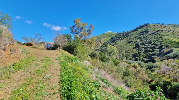 Image No.33-5 Bed Apartment for sale