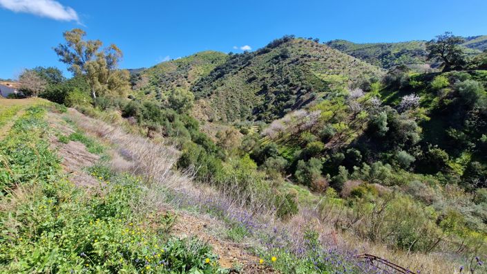 Image No.36-5 Bed Apartment for sale