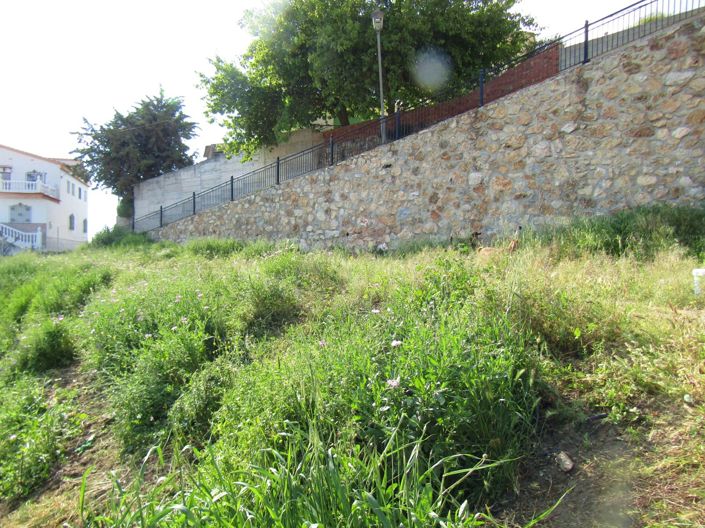 Image No.5-Terre à vendre à Canillas de Aceituno