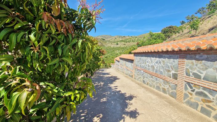 Image No.11-Maison de campagne de 5 chambres à vendre à Vélez-Málaga