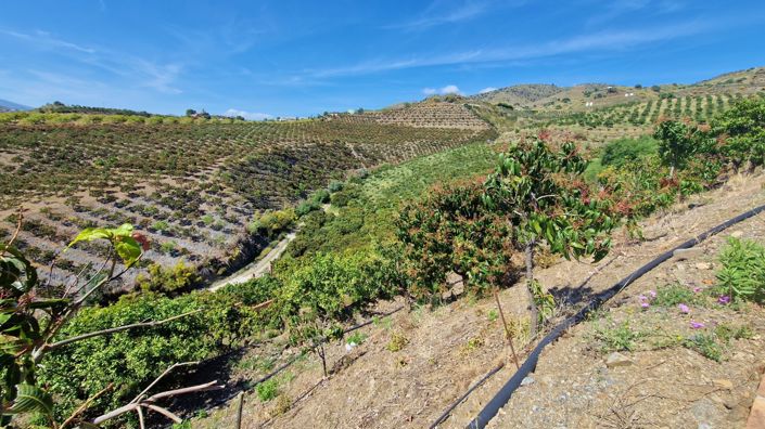 Image No.34-Maison de campagne de 5 chambres à vendre à Vélez-Málaga