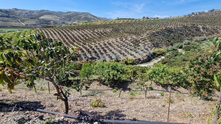 Image No.38-Maison de campagne de 5 chambres à vendre à Vélez-Málaga