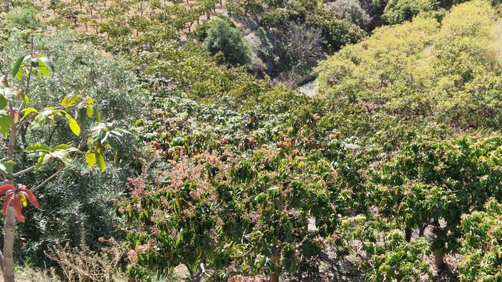 Image No.39-Maison de campagne de 5 chambres à vendre à Vélez-Málaga