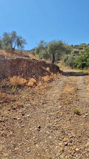 Image No.30-Maison de campagne de 4 chambres à vendre à Comares